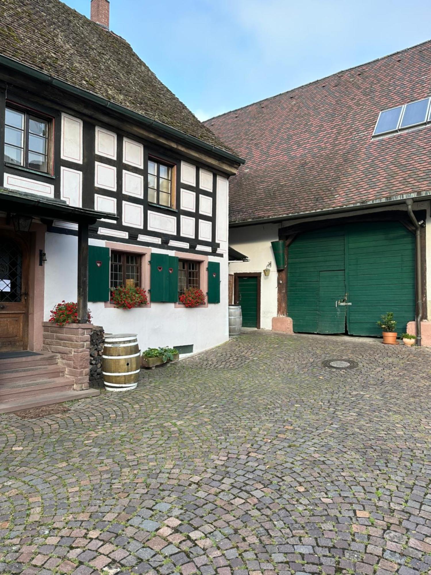 Exklusive Maisonette-Wohnung Am Rande Von Freiburg Merzhausen 외부 사진